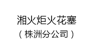 株洲湘火炬火花塞有限責任公司汽車密封分公司